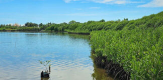 BakaJuan: Active Citizenry In Building Resiliency