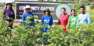 Former TUPAD Beneficiaries In Calapan City Now Agri-Entrepreneurs